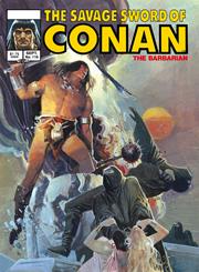 Savage Sword Of Conan Original Comics Omnibus vol 8 Direct Market Edition Bill Sienkiewicz Cvr