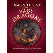 Magnificent Book Of Baby Dragons h/c