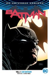 Batman vol 1: I Am Gotham s/c (Rebirth)