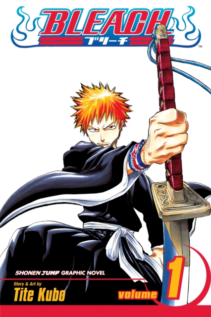 Bleach vol 1