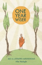 One Year Wiser: 365 Illustrated Meditations