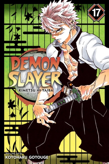 Demon Slayer vol 17
