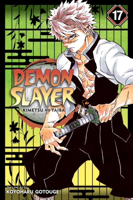 Demon Slayer vol 17