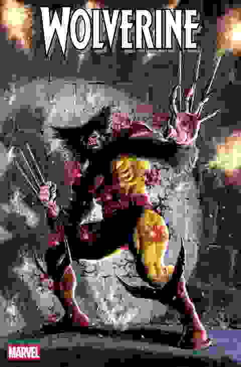 Wolverine #31 Cvr A Juan Ferreyra
