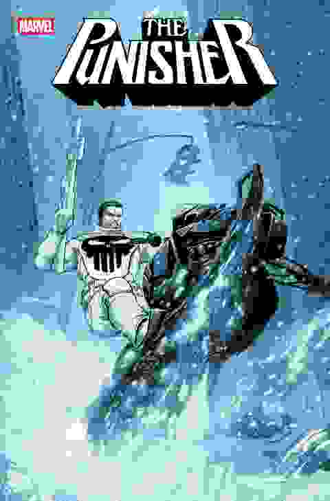 Punisher #12 Cvr A David Marquez 