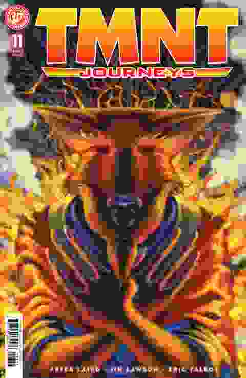 TMNT: Journeys #11 Cvr A Michael Dooney