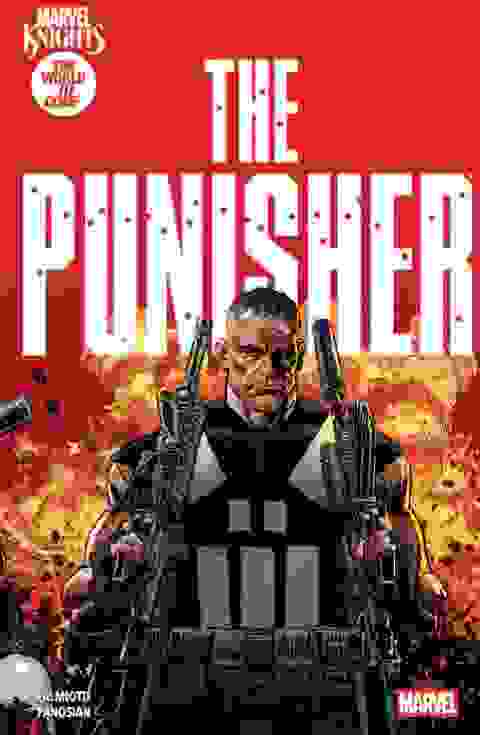 Marvel Knights Punisher s/c