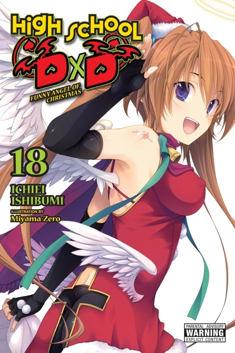 High s/chool Dxd Light Novel vol 18