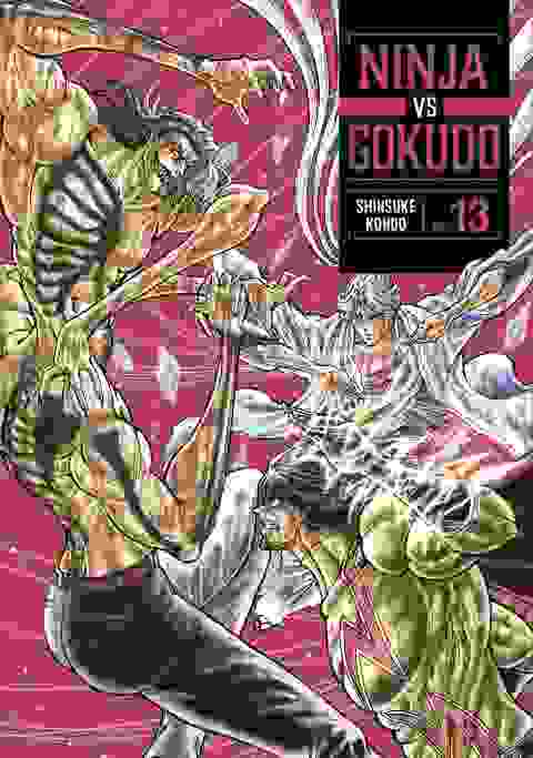 Ninja Vs Gokudo vol 13