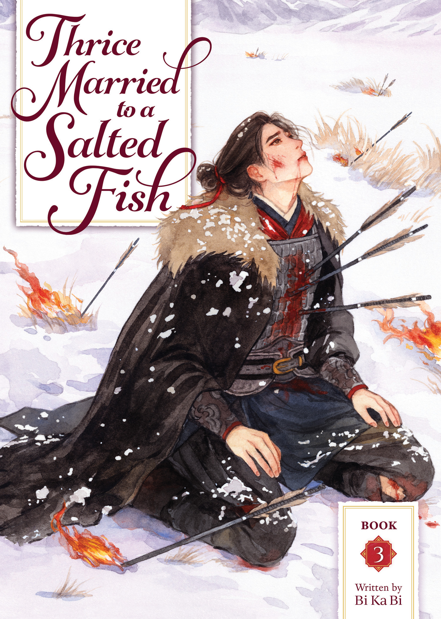 Thrice Married To A Salted Fish Novel vol 3
