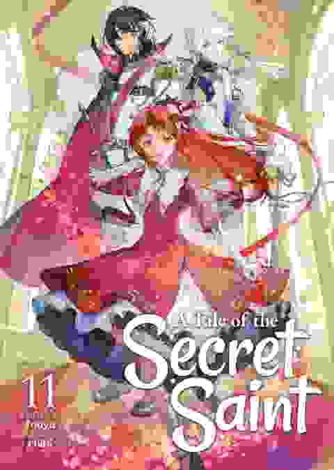 A Tale Of The Secret Saint Light Novel vol 11