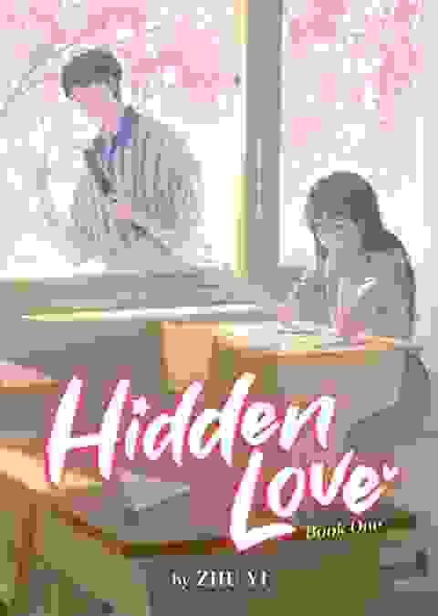 Hidden Love Novel vol 1
