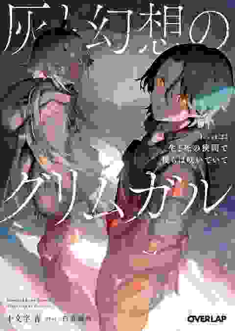 Grimgar Of Fantasy And Ash Light Novel vol 22