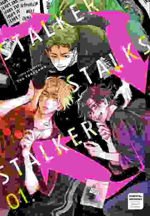 Stalker Stalks Stalker vol 1