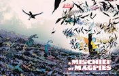 A Mischief Of Magpies #2 Cvr A Bergara