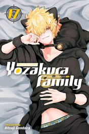 Mission Yozakura Family vol 17