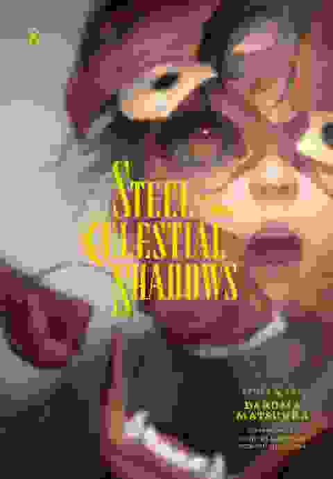 Steel Of The Celestial Shadowns vol 8
