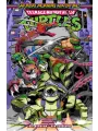 Teenage Mutant Ninja Turtles: Saturday Morning Adventures s/c vol 9