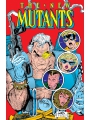 New Mutants Omnibus h/c vol 4 Cvr A Rob Liefeld Cable
