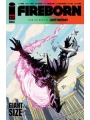 Fireborn #6 Cvr A Patrick Mulholland