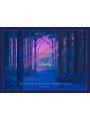 Disney The Wonderful Worlds Of Disney h/c The Scenic Art Of Walt Disney Animation Studios