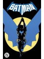 Batman h/c vol 1 Daylight