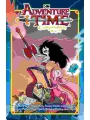Adventure Time Compendium s/c vol 4