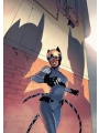 Absolute Catwoman #3 (of 6) Cvr A Bengal