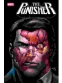 Punisher #2 Cvr A David Marquez