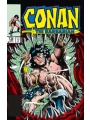 Conan The Barbarian The Original Comics Omnibus h/c vol 7 Regular Edition Mike Docherty