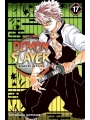 Demon Slayer vol 17