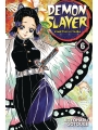 Demon Slayer vol 6