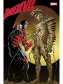 Daredevil #22