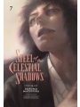Steel Of The Celestial Shadows vol 7