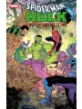 Spider-Man / Hulk Fire And Brimstone #1 Cvr A Rb Silva