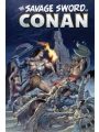 Savage Sword Of Conan The Original Comics Omnibus h/c vol 12 EarL Norem Direct Market Edition Cvr