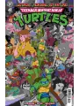 Teenage Mutant Ninja Turtles Saturday Morning Adventures #41 Cvr A Sarah Myer
