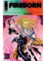 Fireborn #4 Cvr A Patrick Mulholland