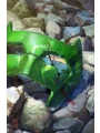 Green Lantern #24 Cvr A Xermanico