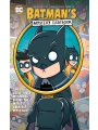 Batman's Mystery Casebook s/c