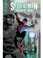 Spider-Man: Long Way Home h/c