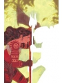 Absolute Wonder Woman #12 Cvr A Hayden Sherman
