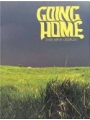 Cerebus vol 13: Going Home (Remastered Edition)