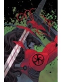 Absolute Wonder Woman #24 Cvr A Hayden Sherman
