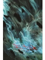 Absolute Flash #7 Cvr A Nick Robles