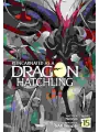Reincarnated As A Dragon Hatchling Light Novel vol 15