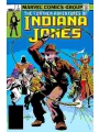 The Further Adventures Of Indiana Jones #1 Facsimile Edition Cvr A Terry Austin