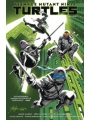 Teenage Mutant Ninja Turtles s/c vol 1 Return To New York