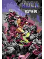 Infernal Hulk Vs. Wolverine #1 Cvr A Nic Klein