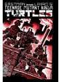 Teenage Mutant Ninja Turtles Mirage Facsimile #1 Cvr A Kevin Eastman & Peter Laird